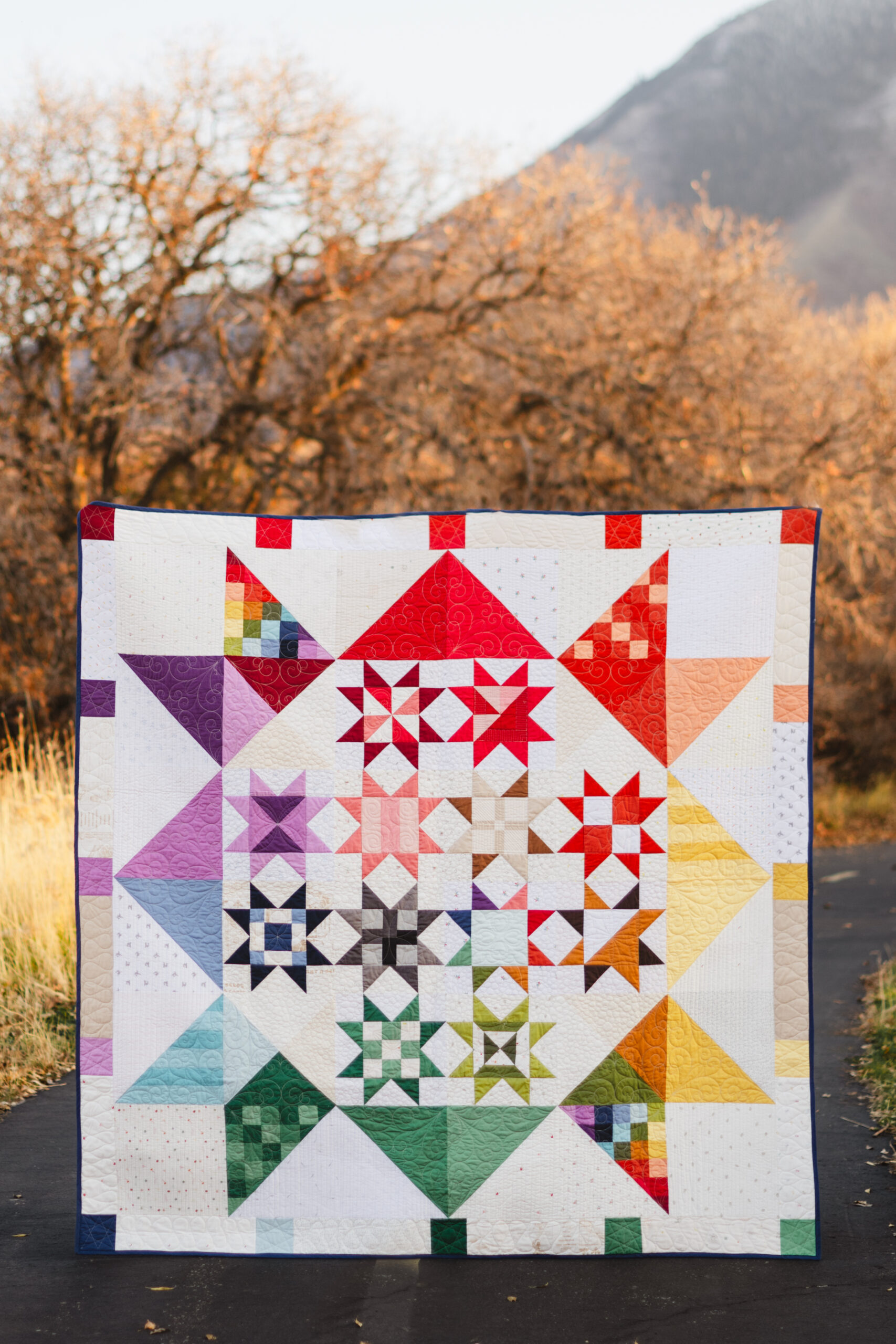 Shine Together Sew-Along Fabric Kit by Riley Blake Designs – The Quilter's  Crossing